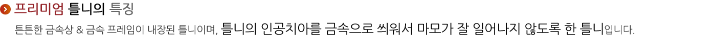 프리미엄 틀니
