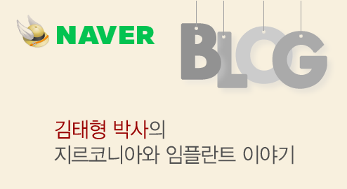김앤이 치과의 앞니 지르코니아와 임플란트 Story