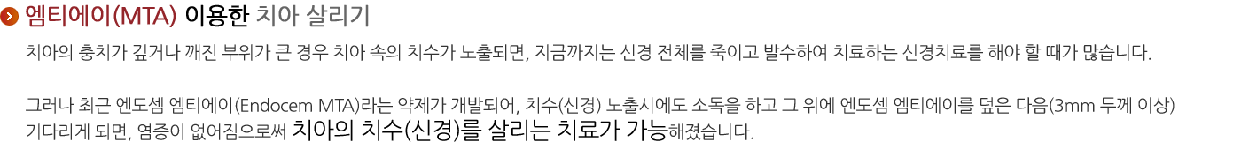 엠티에이(MTA)를 이용한 치아살리기