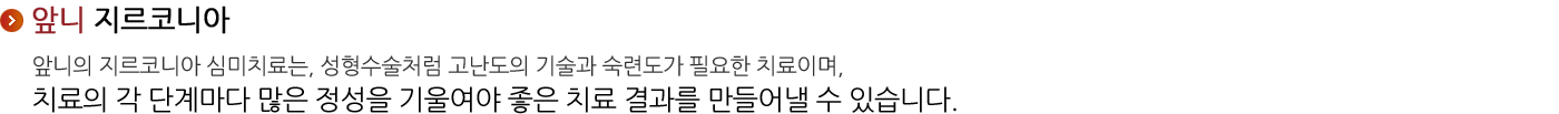 앞니 지르코니아