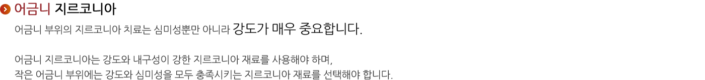 어금니 지르코니아